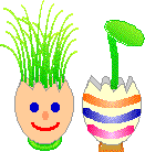 egg sell plant pots